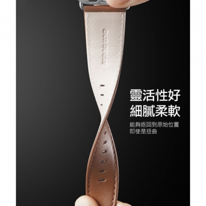DUX DUCIS AP Watch _38.40.41mm_ YS 真皮錶帶 7.jpg