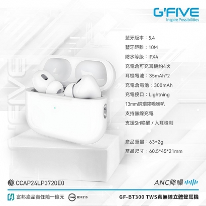 GF-BT300-08.jpg